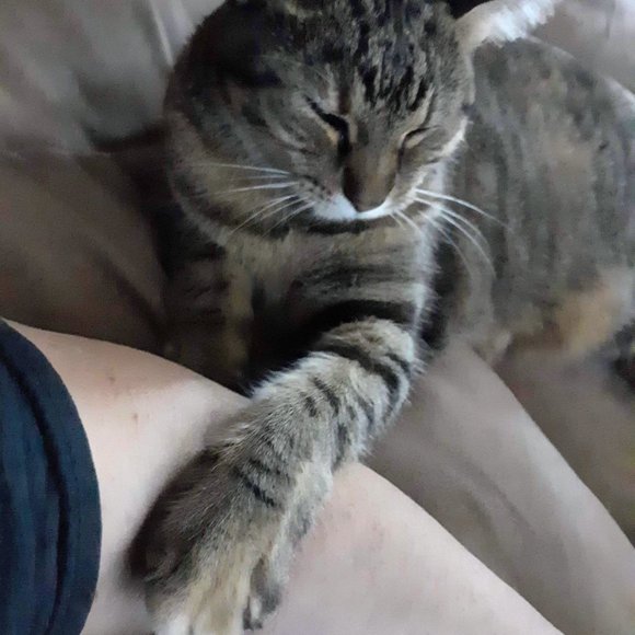 Meet your Posher, Tina - Picture 8 of 8